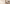 Aktionsbanner