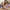 Aktionsbanner