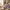 Aktionsbanner