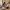 Aktionsbanner