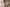 Aktionsbanner