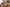 Aktionsbanner