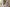 Aktionsbanner